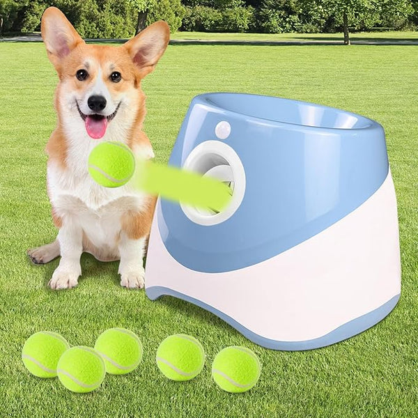 DogLaunch™ | Wo Spaß und Entwicklung zusammenkommen.