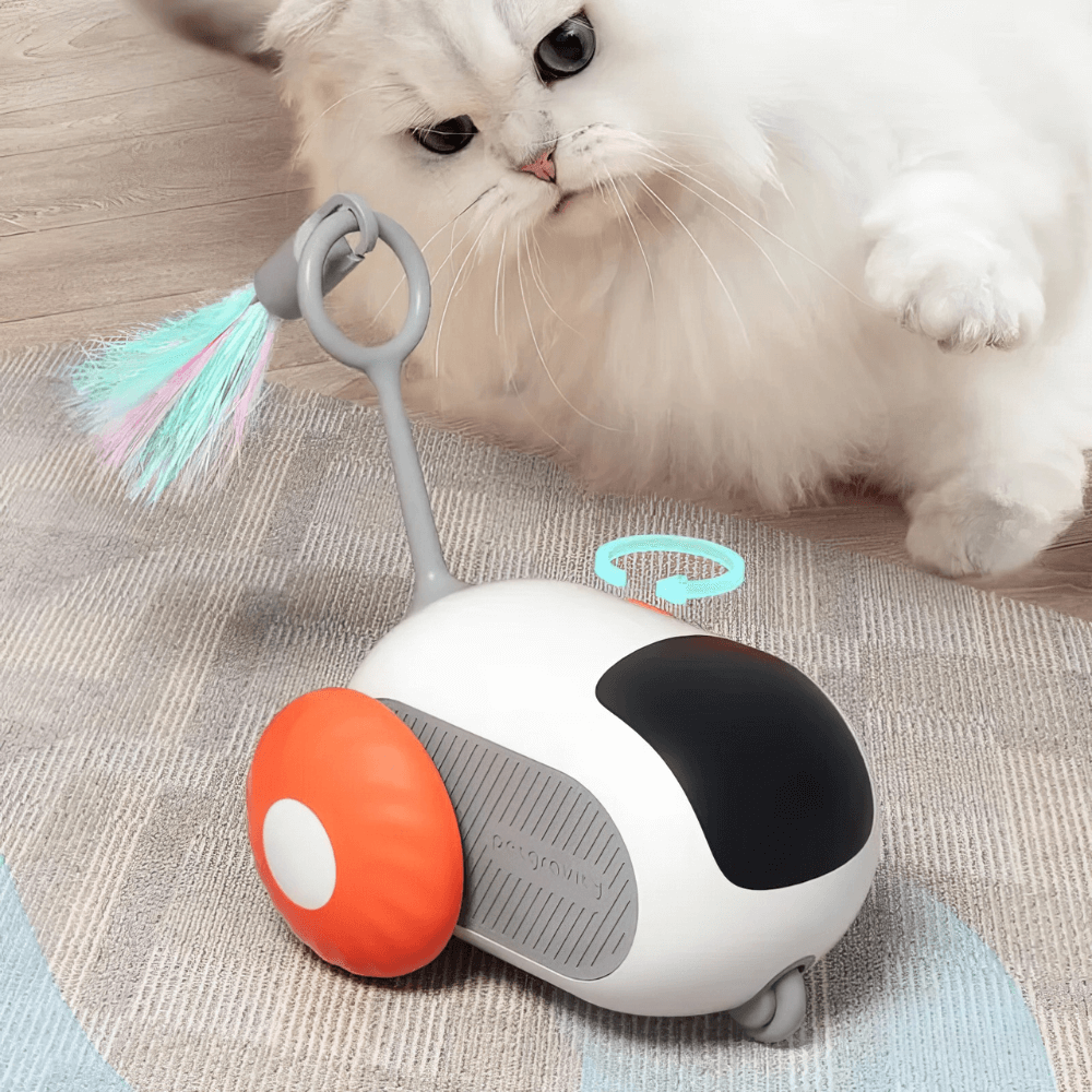 TurboCat™ | Bringe die Aufregung der Jagd in dein Wohnzimmer.