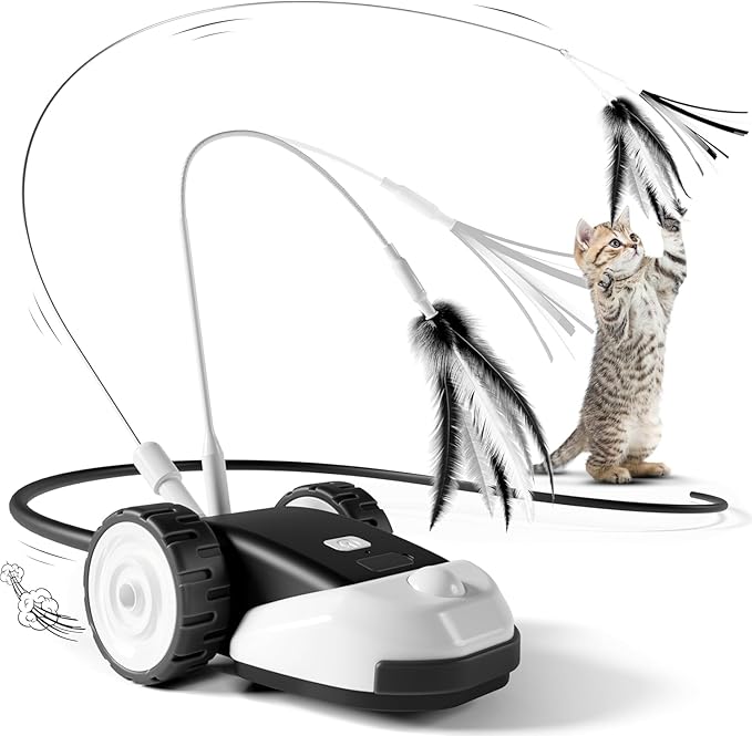 CatMouse™ | Spiele selbstständig, während du weg bist.