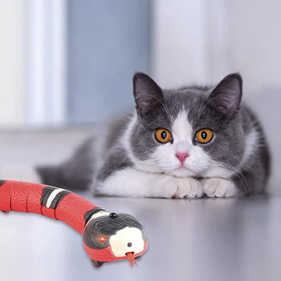 CatWave™ | Die ideale Lösung für aktive Katzen