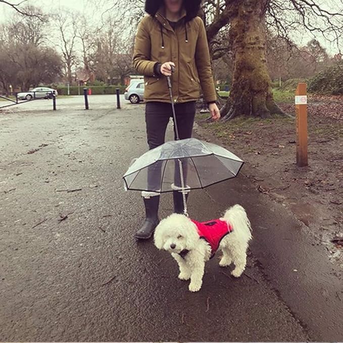 DogPlu™ | Die Lösung für Regenspaziergänge.