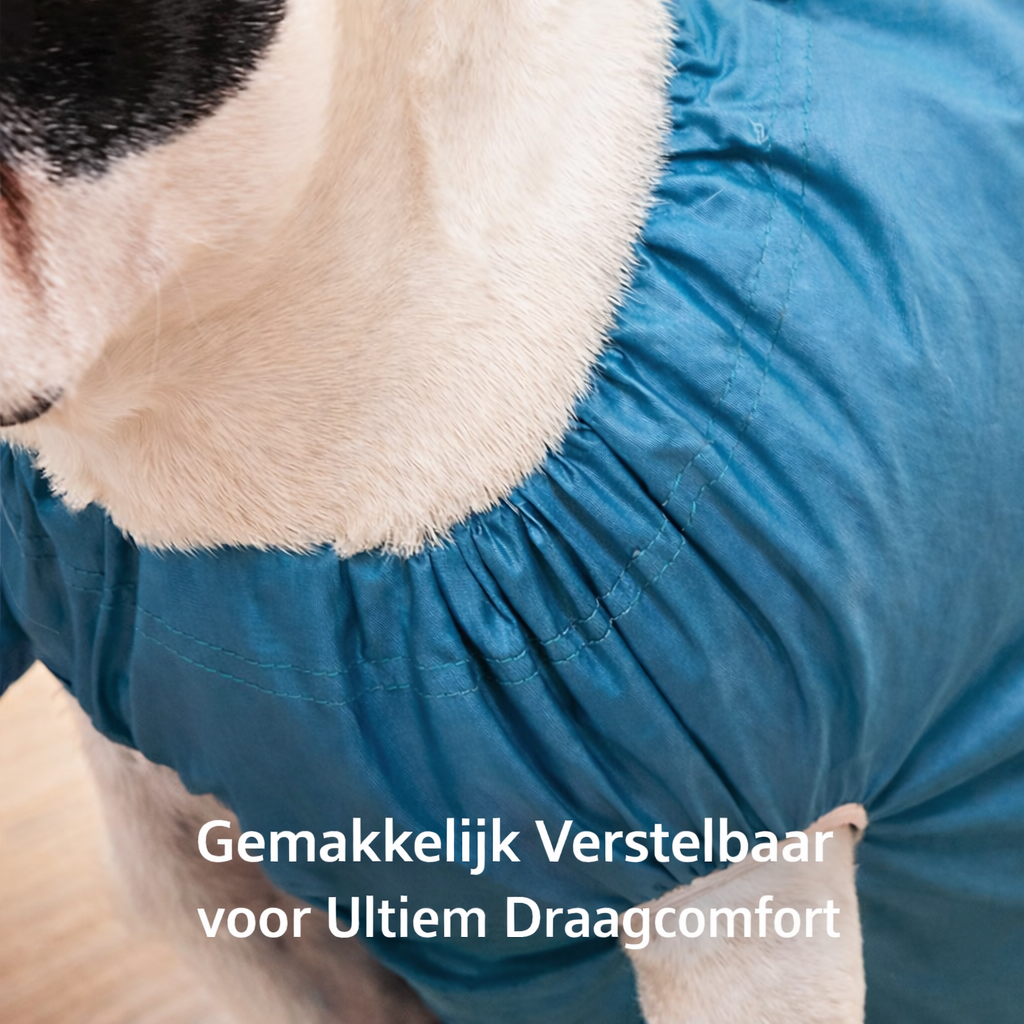 DryBuddy™ | Einfaches Trocknen in wenigen Minuten
