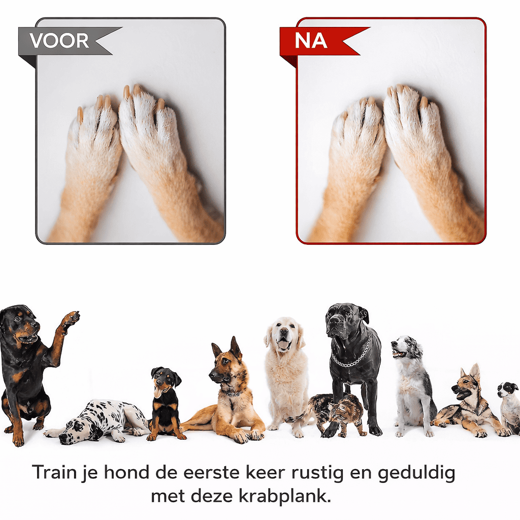 PlayTrim™ | Die smarte Lösung für lange Hundekrallen.