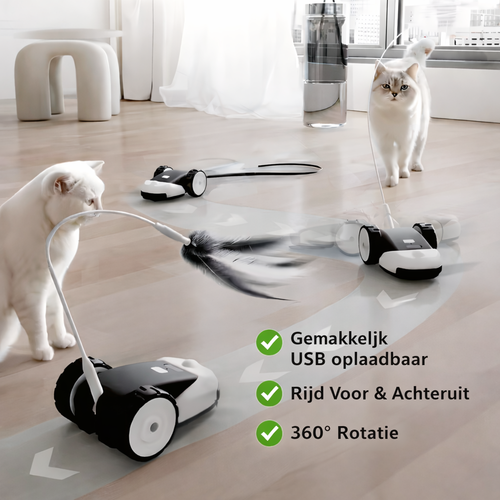 CatMouse™ | Spiele selbstständig, während du weg bist.