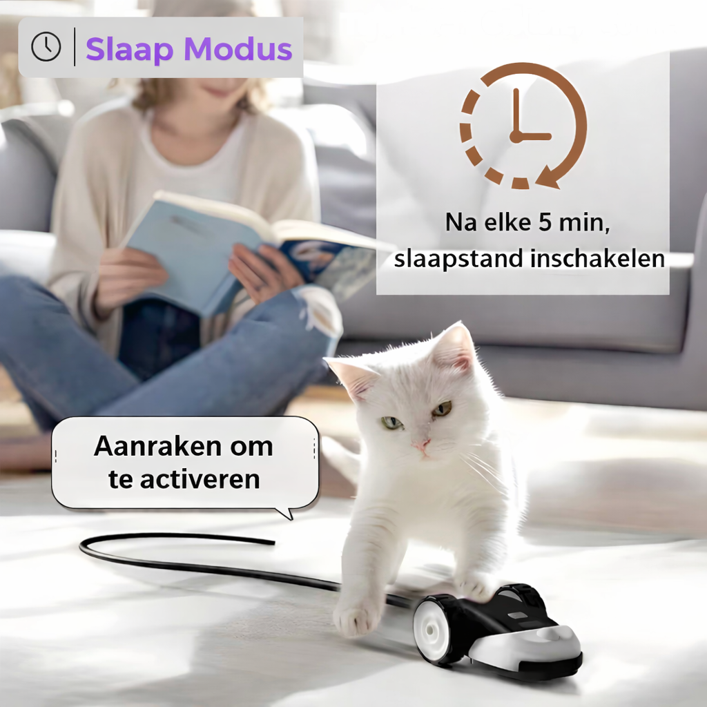 CatMouse™ | Spiele selbstständig, während du weg bist.