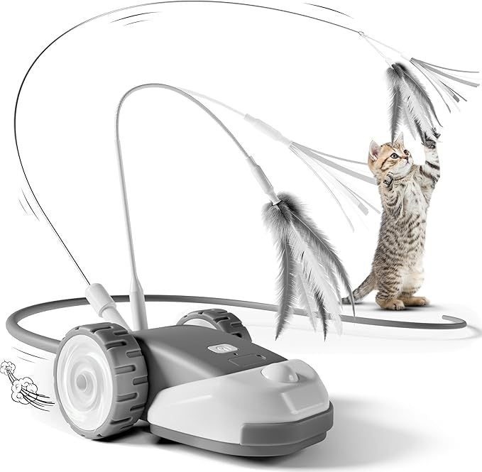 CatMouse™ | Spiele selbstständig, während du weg bist.