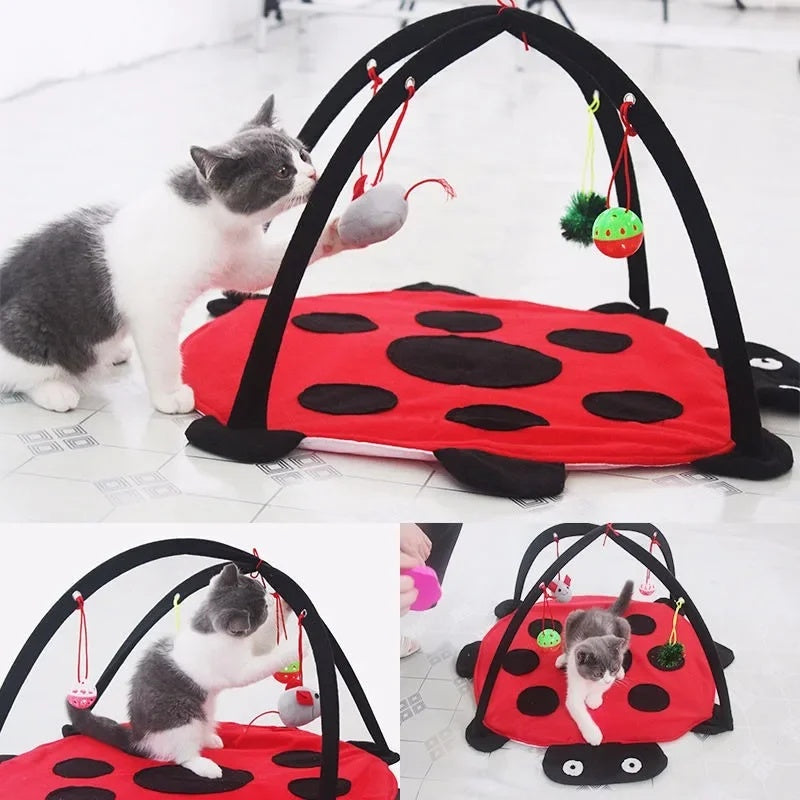 MeowBug™ | Spielen, Springen & Entspannen in einem.