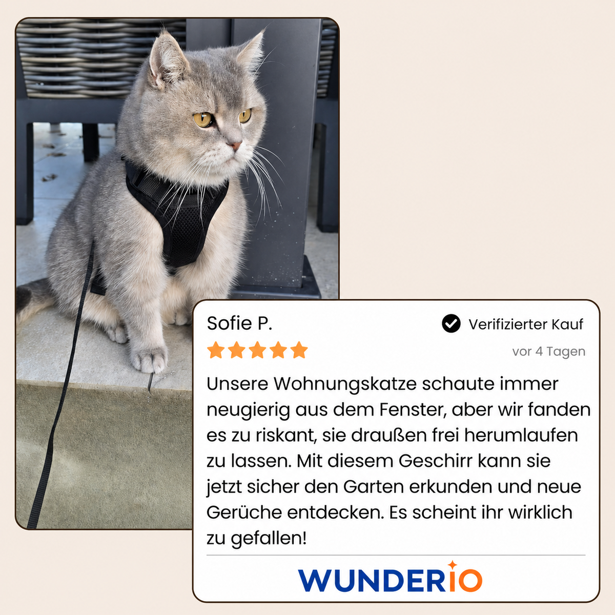 Walker Pro® | Atmungsaktives und verstellbares Katzengeschirr mit Leine.