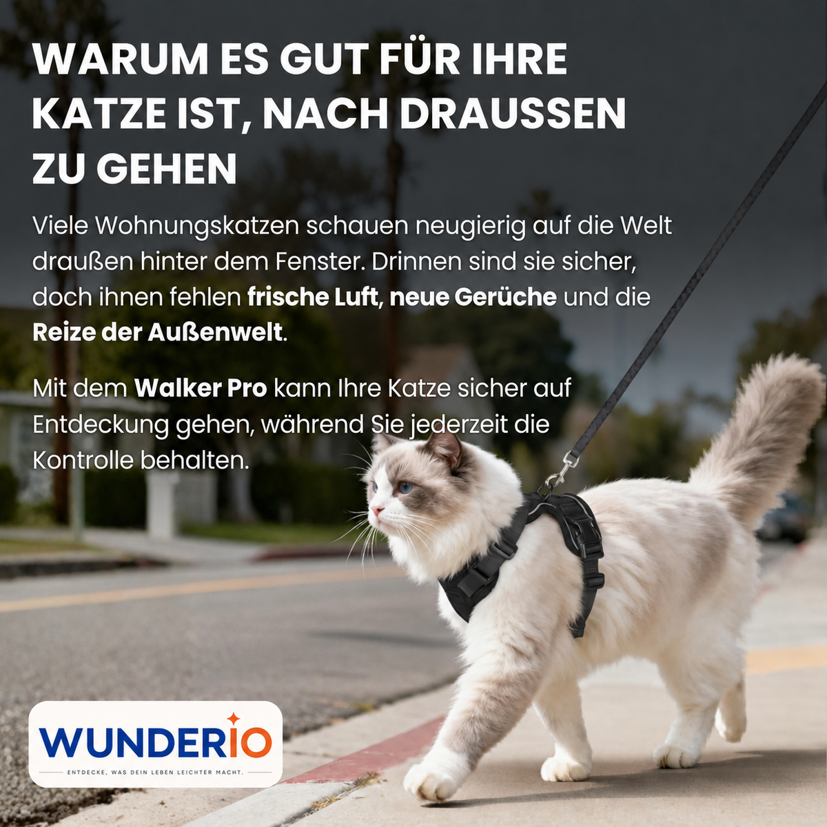Walker Pro® | Atmungsaktives und verstellbares Katzengeschirr mit Leine.