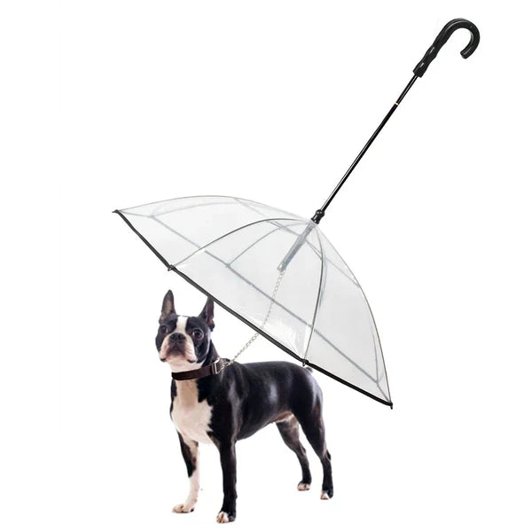 DogPlu™ | Die Lösung für Regenspaziergänge.