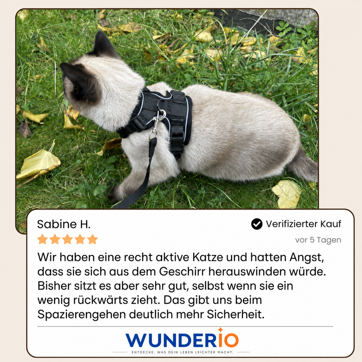 Walker Pro® | Atmungsaktives und verstellbares Katzengeschirr mit Leine.