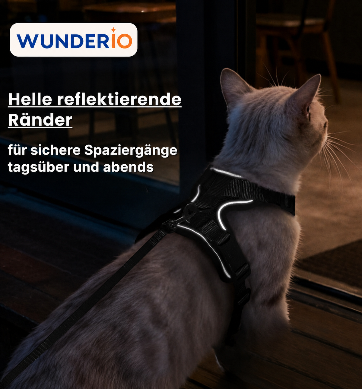 Walker Pro® | Atmungsaktives und verstellbares Katzengeschirr mit Leine.