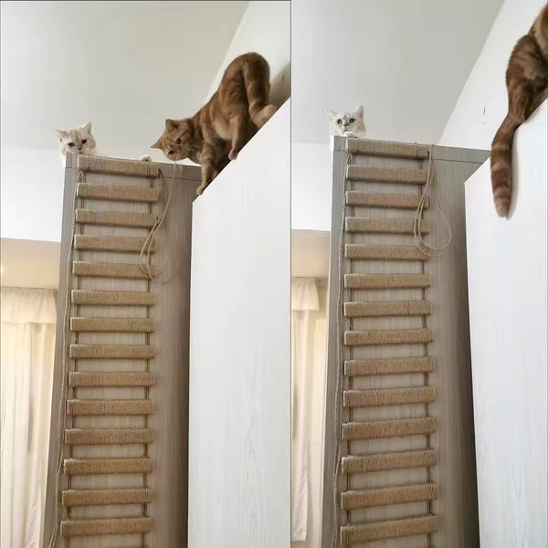 CatTrap™ | Lass deine Katze endlosen Kletterspaß genießen.