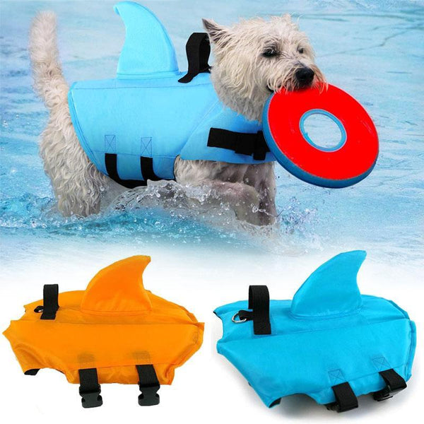 DogSwim™ | Halte deinen Hund sicher bei Wasserabenteuern!