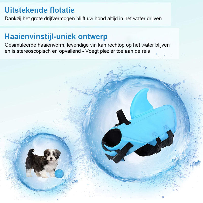 DogSwim™ | Halte deinen Hund sicher bei Wasserabenteuern!