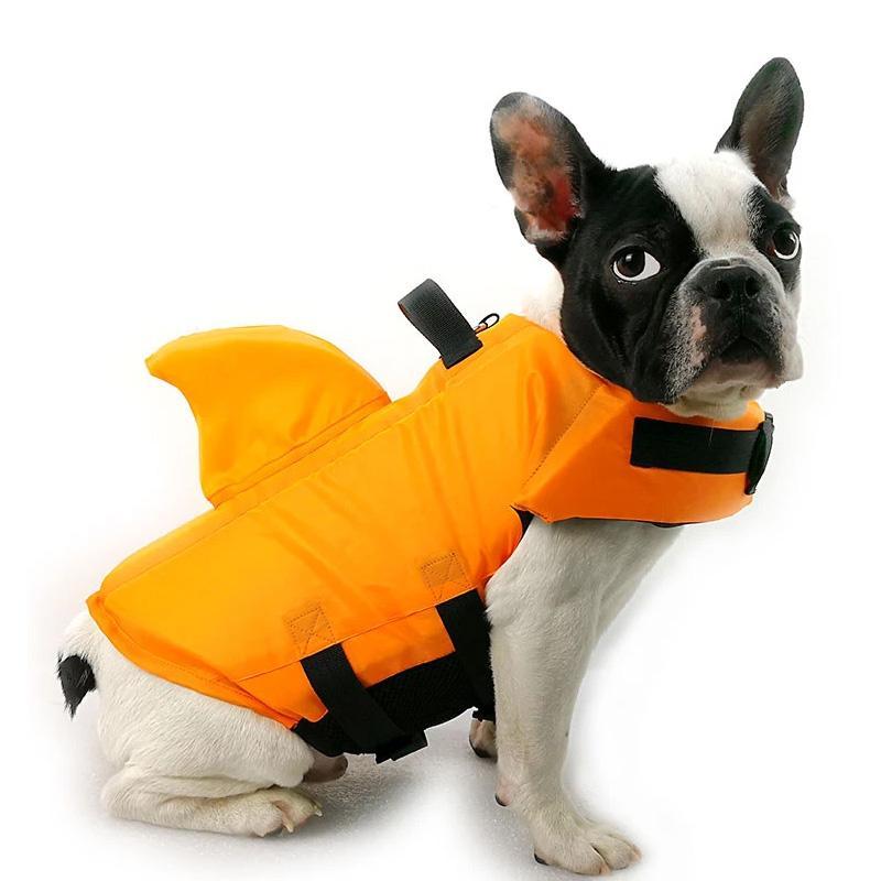 DogSwim™ | Halte deinen Hund sicher bei Wasserabenteuern!