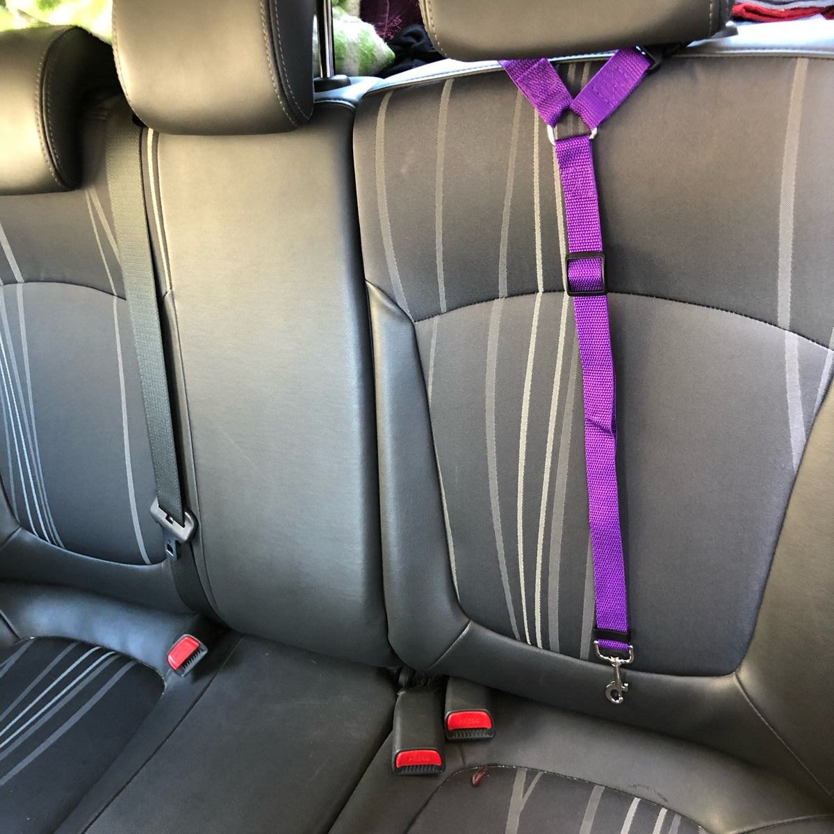 DogBelt™ | Immer sicher unterwegs mit deinem Vierbeiner!