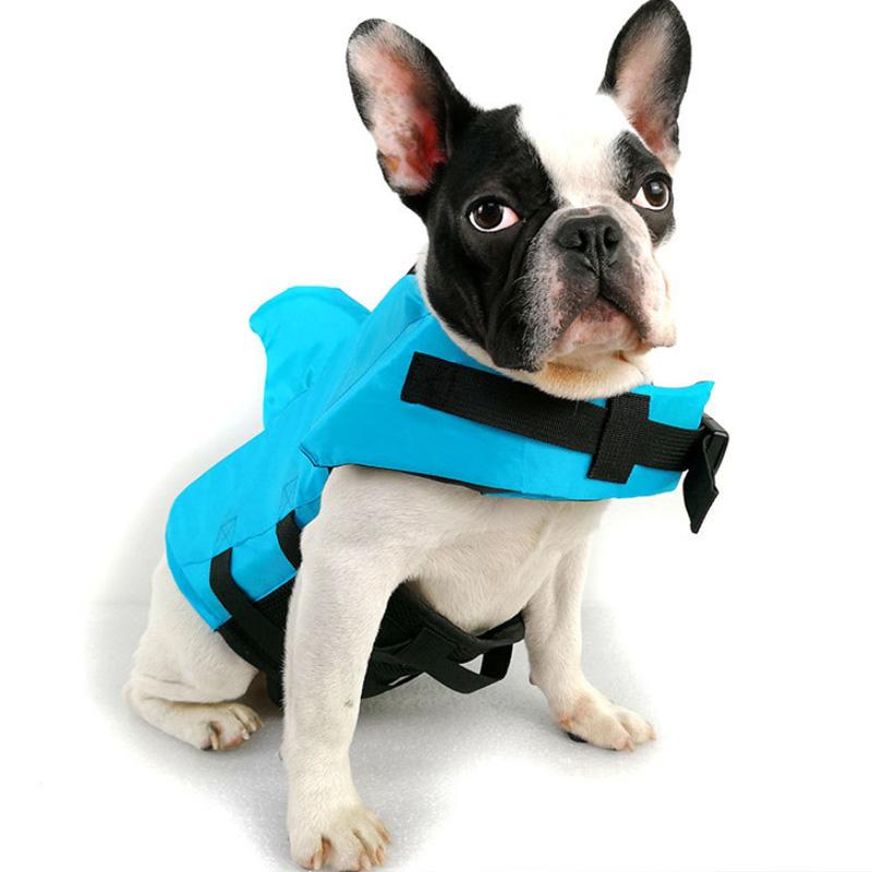 DogSwim™ | Halte deinen Hund sicher bei Wasserabenteuern!