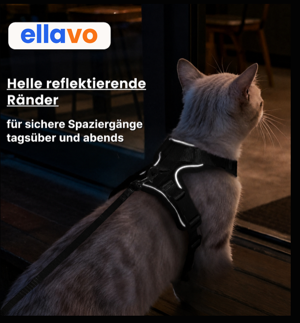 Walker Pro® | Atmungsaktives und verstellbares Katzengeschirr mit Leine.