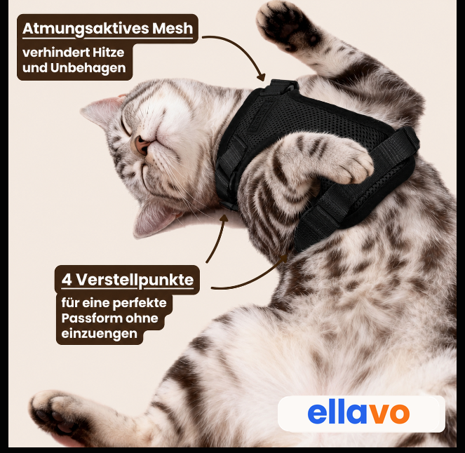Walker Pro® | Atmungsaktives und verstellbares Katzengeschirr mit Leine.
