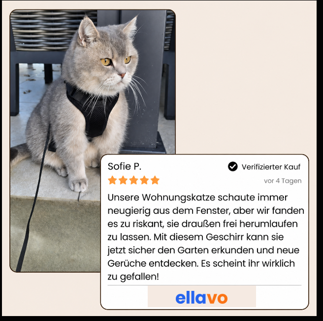 Walker Pro® | Atmungsaktives und verstellbares Katzengeschirr mit Leine.