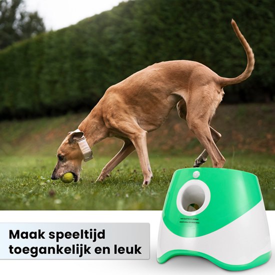 DogLaunch™ | Wo Spaß und Entwicklung zusammenkommen.